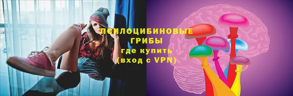 apvp Балахна
