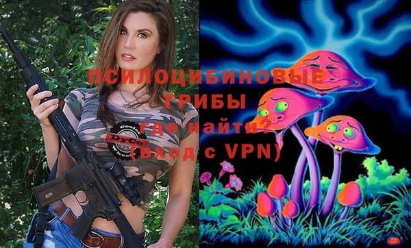 apvp Балахна